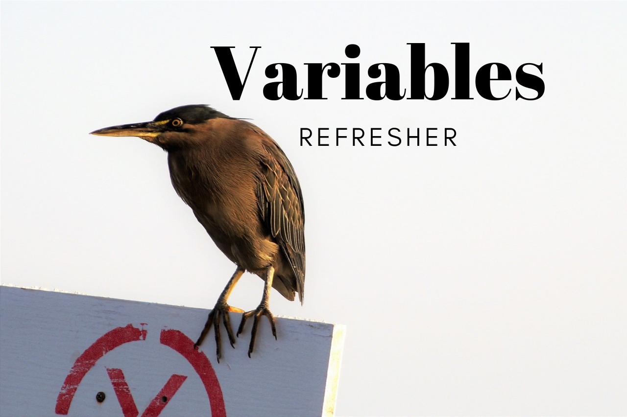 Variables - Classification and Uses
